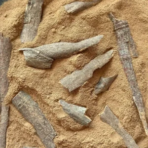 دارچین پودر شده شسته‌ شده
