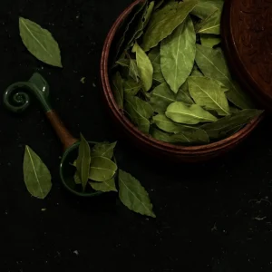 برگ بو